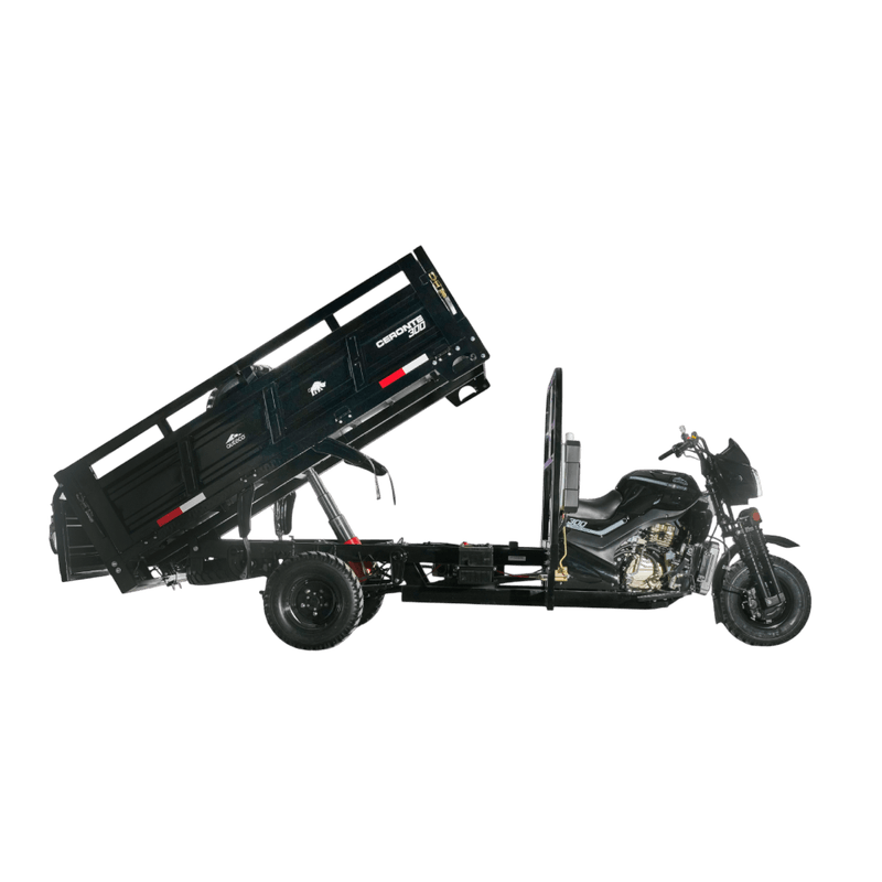 Ceronte Tricargo 300